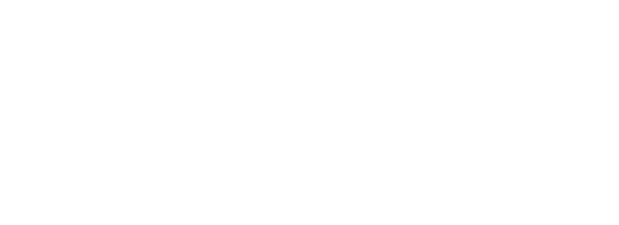 Bull Marketing